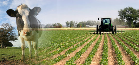 Curso Técnicas De Polinización De Frutales, Hortalizas Y Semilleros.