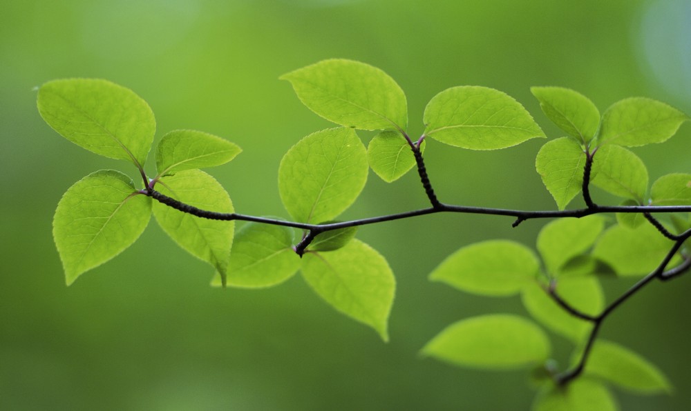 Curso Conceptos Y Normativas Vigentes De Legislación Ambiental